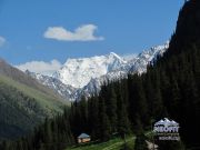 Алтын Арашан 